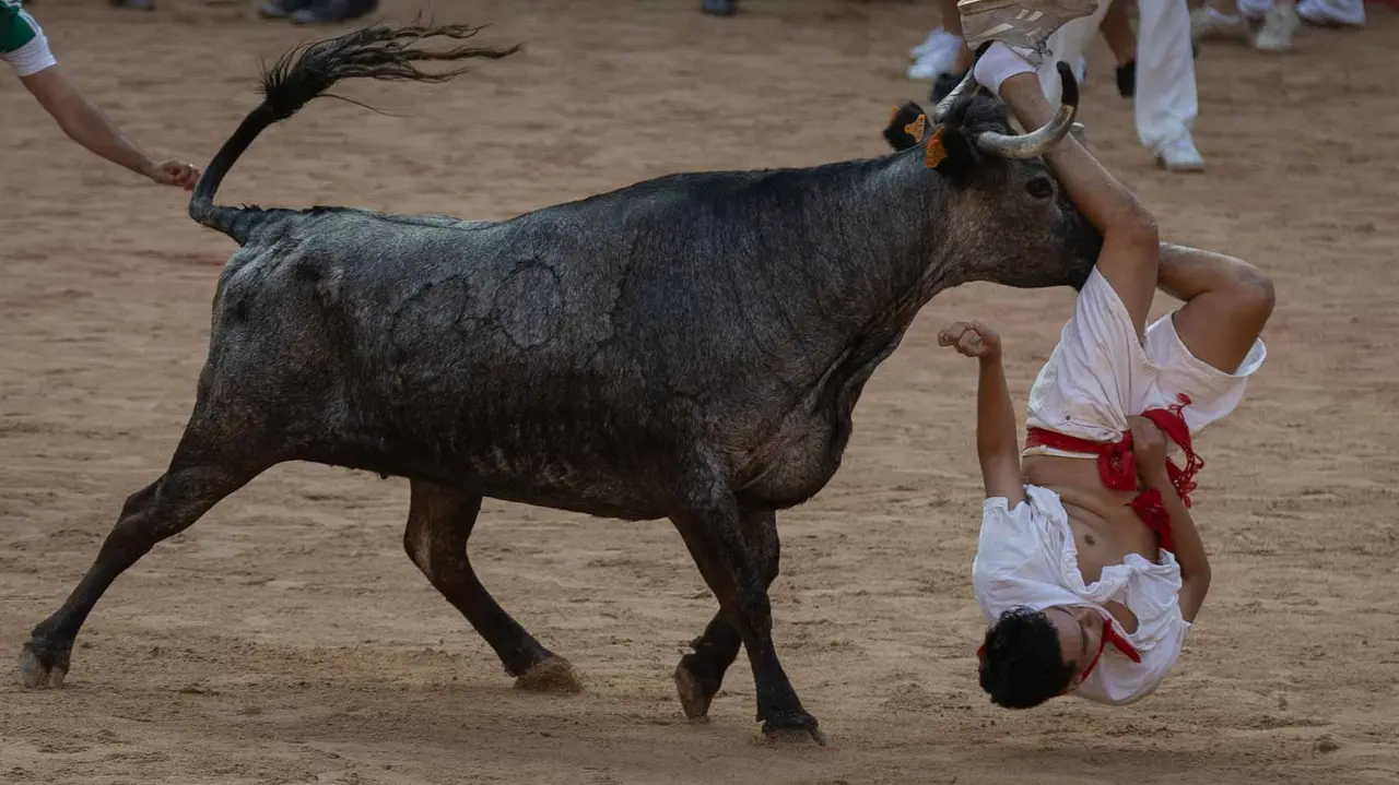 Suelta de vaquillas tras el octavo encierro de San Fermín.Maite H. Mateo..-26