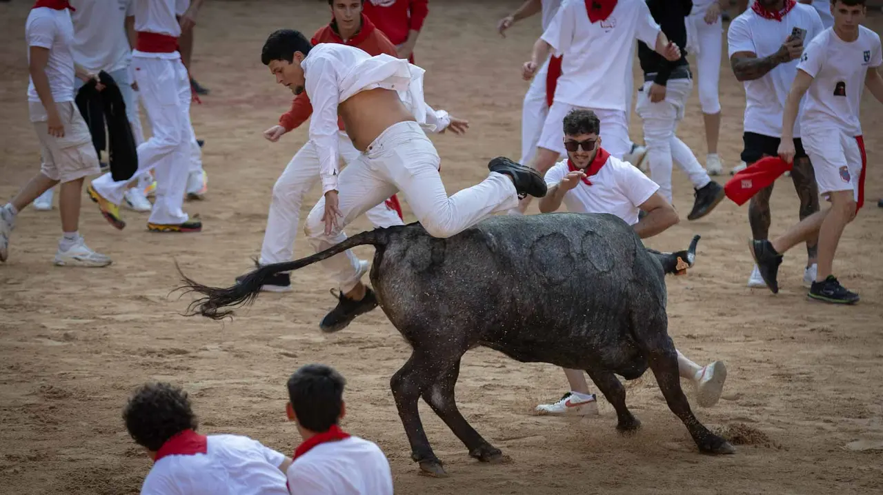 Suelta de vaquillas tras el octavo encierro de San Fermín.Maite H. Mateo..-28