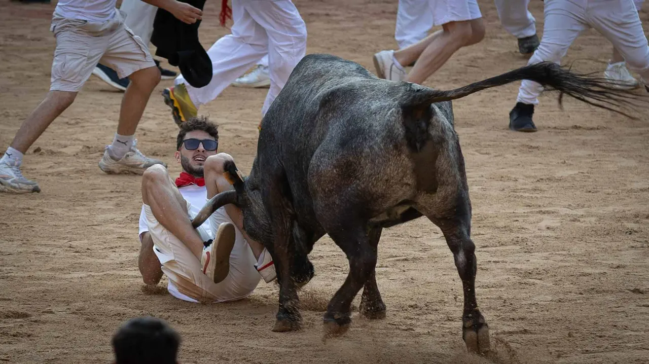 Suelta de vaquillas tras el octavo encierro de San Fermín.Maite H. Mateo..-29