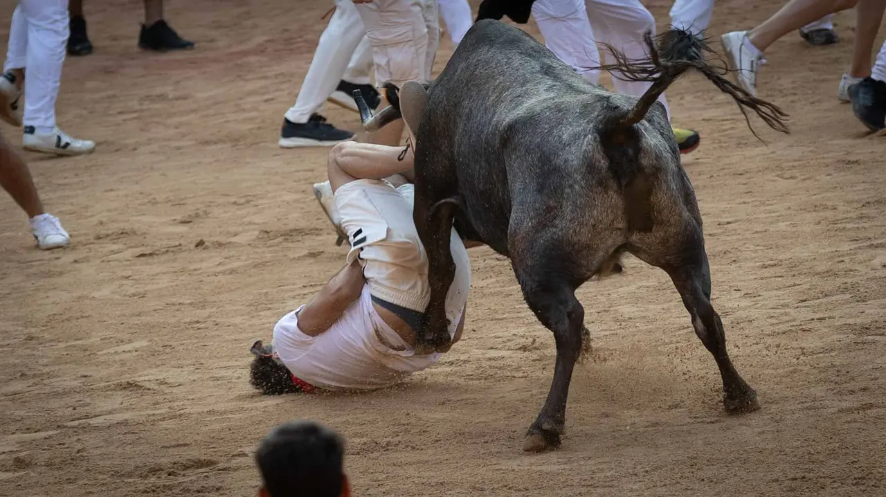 Suelta de vaquillas tras el octavo encierro de San Fermín.Maite H. Mateo..-30