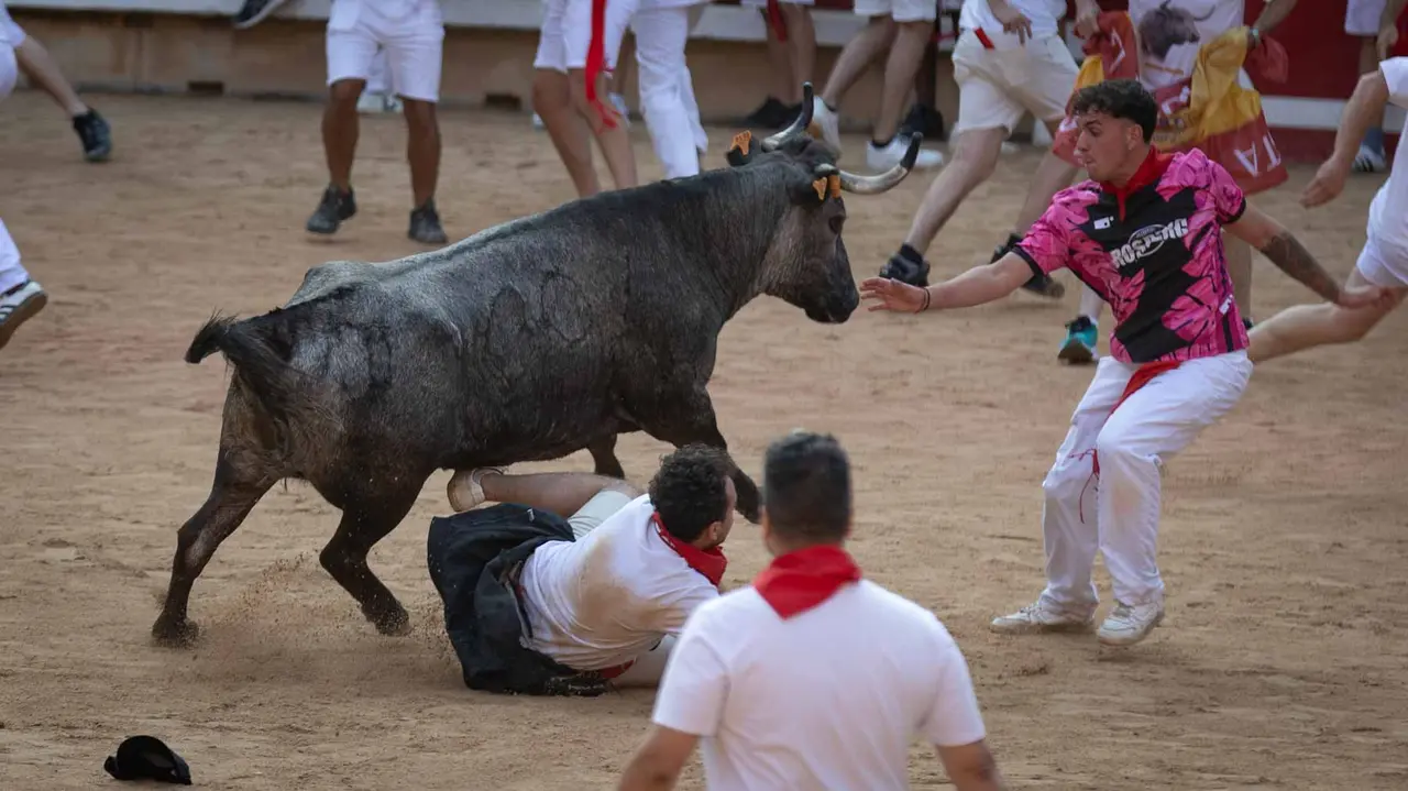 Suelta de vaquillas tras el octavo encierro de San Fermín.Maite H. Mateo..-33