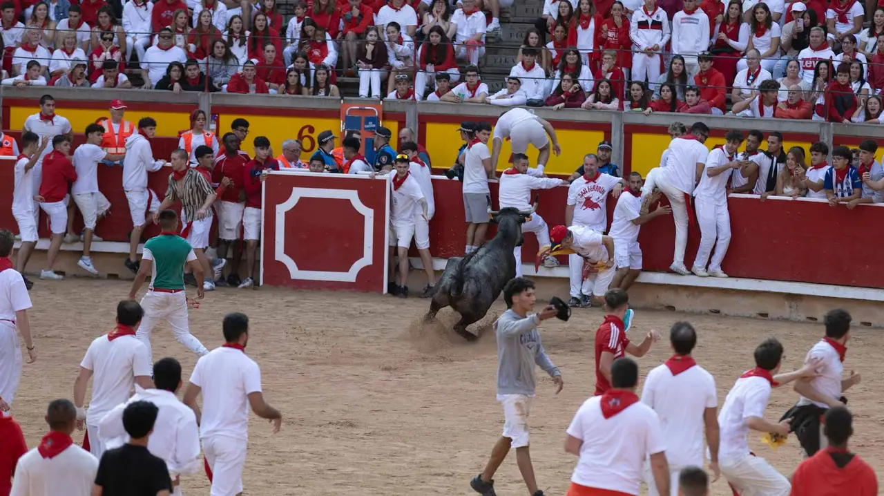 Suelta de vaquillas tras el octavo encierro de San Fermín.Maite H. Mateo..-34
