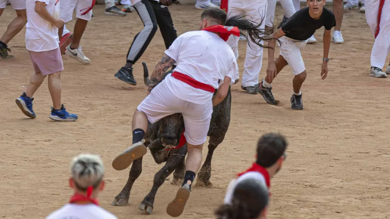 Suelta de vaquillas tras el octavo encierro de San Fermín.Maite H. Mateo..-35