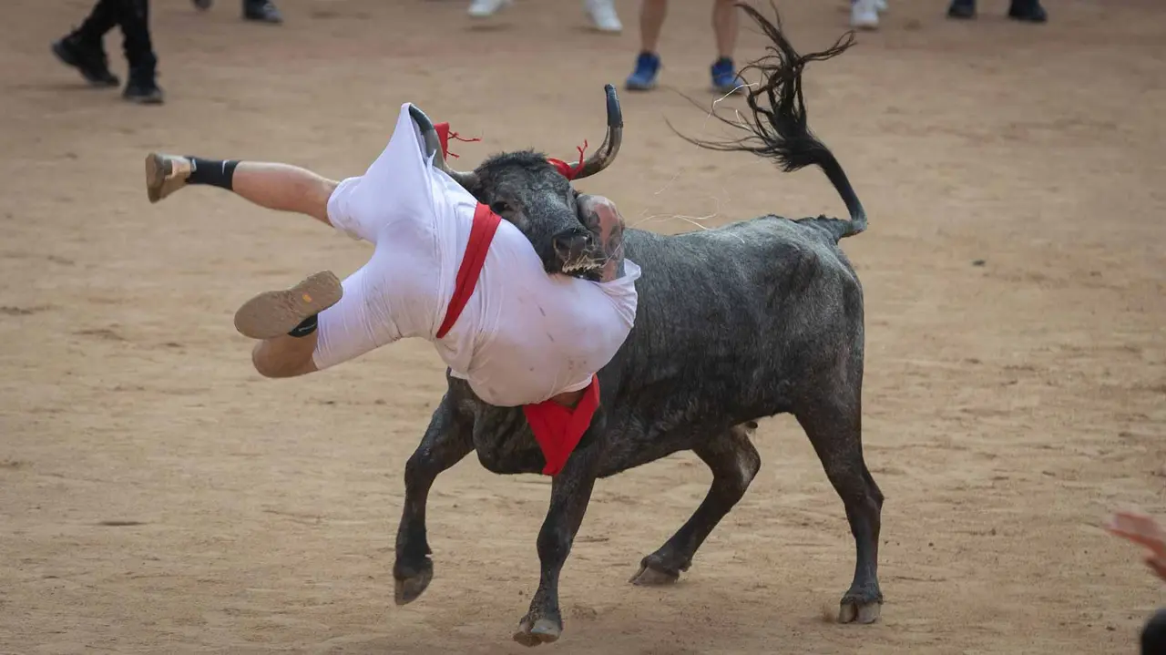 Suelta de vaquillas tras el octavo encierro de San Fermín.Maite H. Mateo..-38