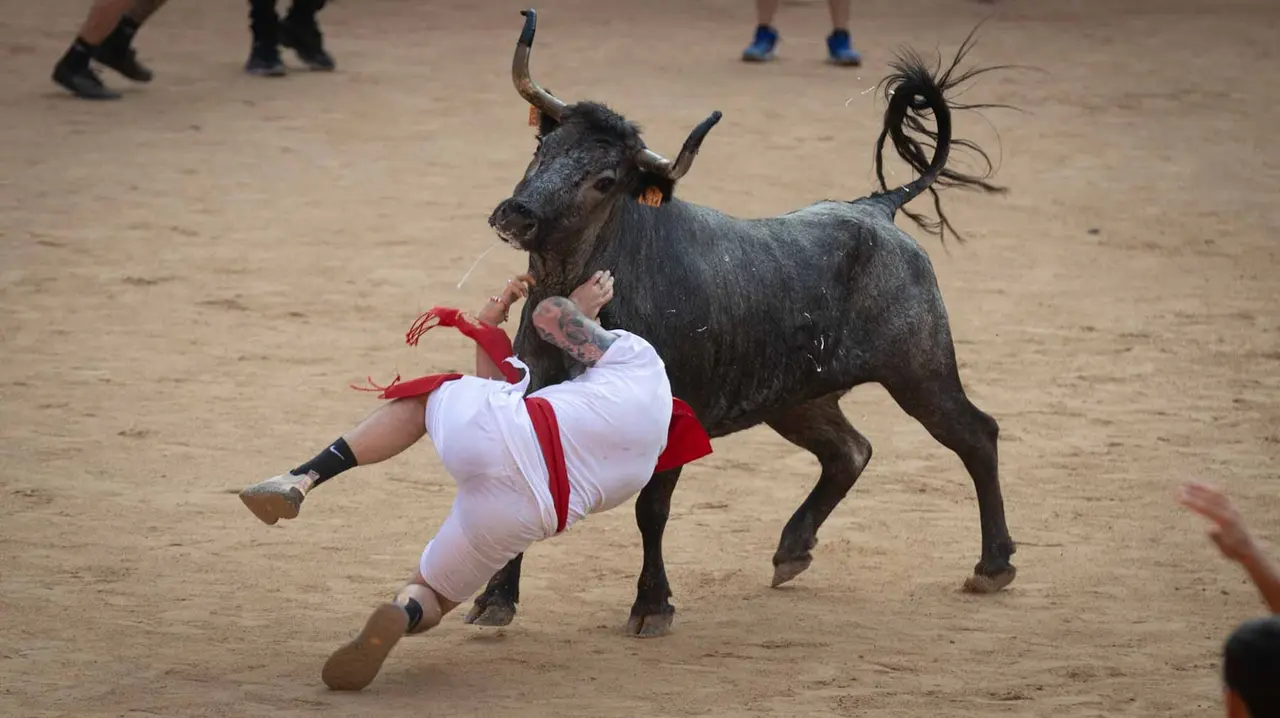 Suelta de vaquillas tras el octavo encierro de San Fermín.Maite H. Mateo..-39