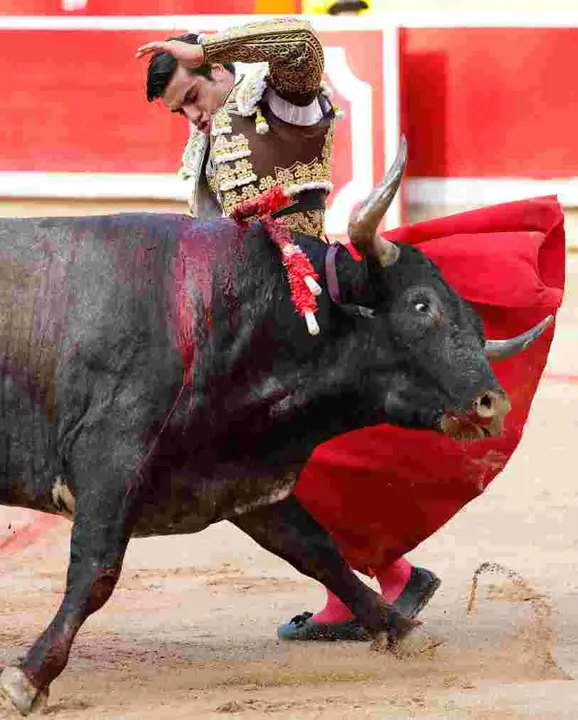 El diestro Jesús Enrique Colombo durante la lidia al tercer toro de la tarde en la décima de abono de la Feria de Toro de los Sanfermines 2025 con toros de la ganadería gaditana Miura y en la que comparte cartel con Manuel Escribano y Damián Castaño. EFE/ Villar Lopez