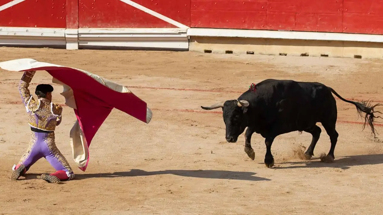 Última corrida de la Feria de San Fermín. Maite H. Mateo..-10