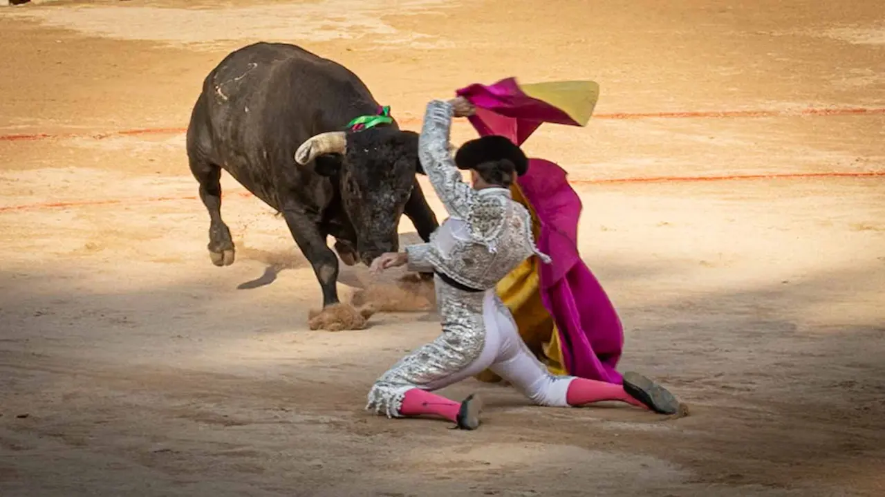 Última corrida de la Feria de San Fermín. Maite H. Mateo..-21