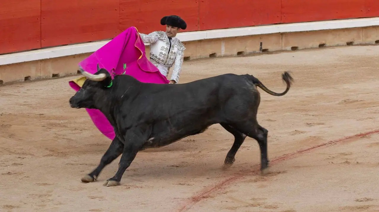 Última corrida de la Feria de San Fermín. Maite H. Mateo..-22