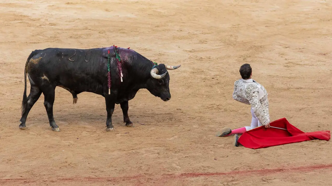 Última corrida de la Feria de San Fermín. Maite H. Mateo..-24