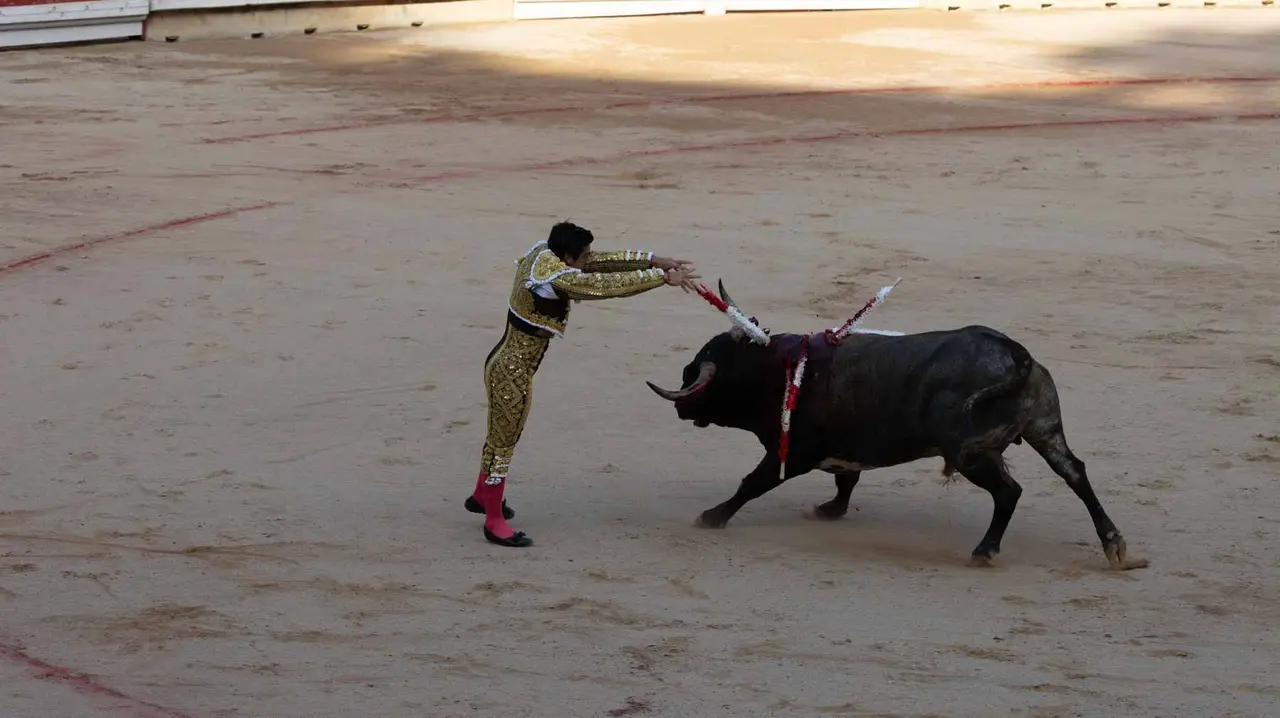 Última corrida de la Feria de San Fermín. Maite H. Mateo..-28