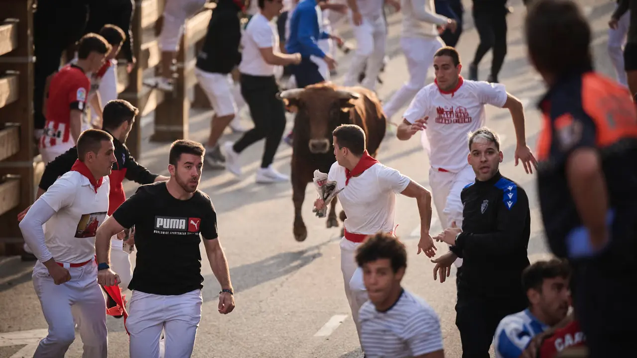 Primer encierro de las fiestas de Tudela 2025 con novillos de Tornay. PABLO LASAOSA