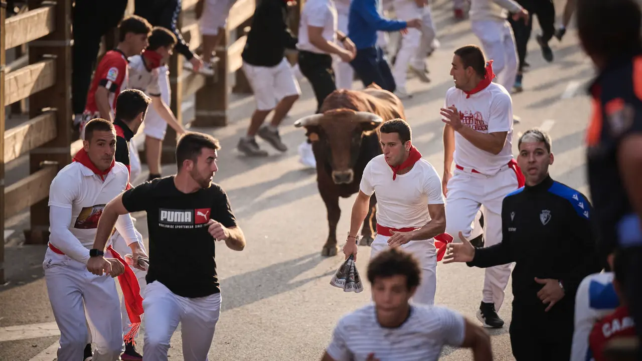 Primer encierro de las fiestas de Tudela 2025 con novillos de Tornay. PABLO LASAOSA