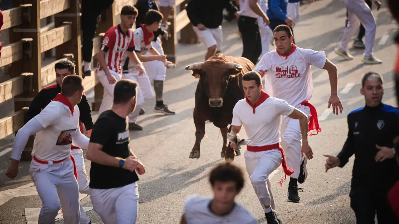 Primer encierro de las fiestas de Tudela 2025 con novillos de Tornay. PABLO LASAOSA