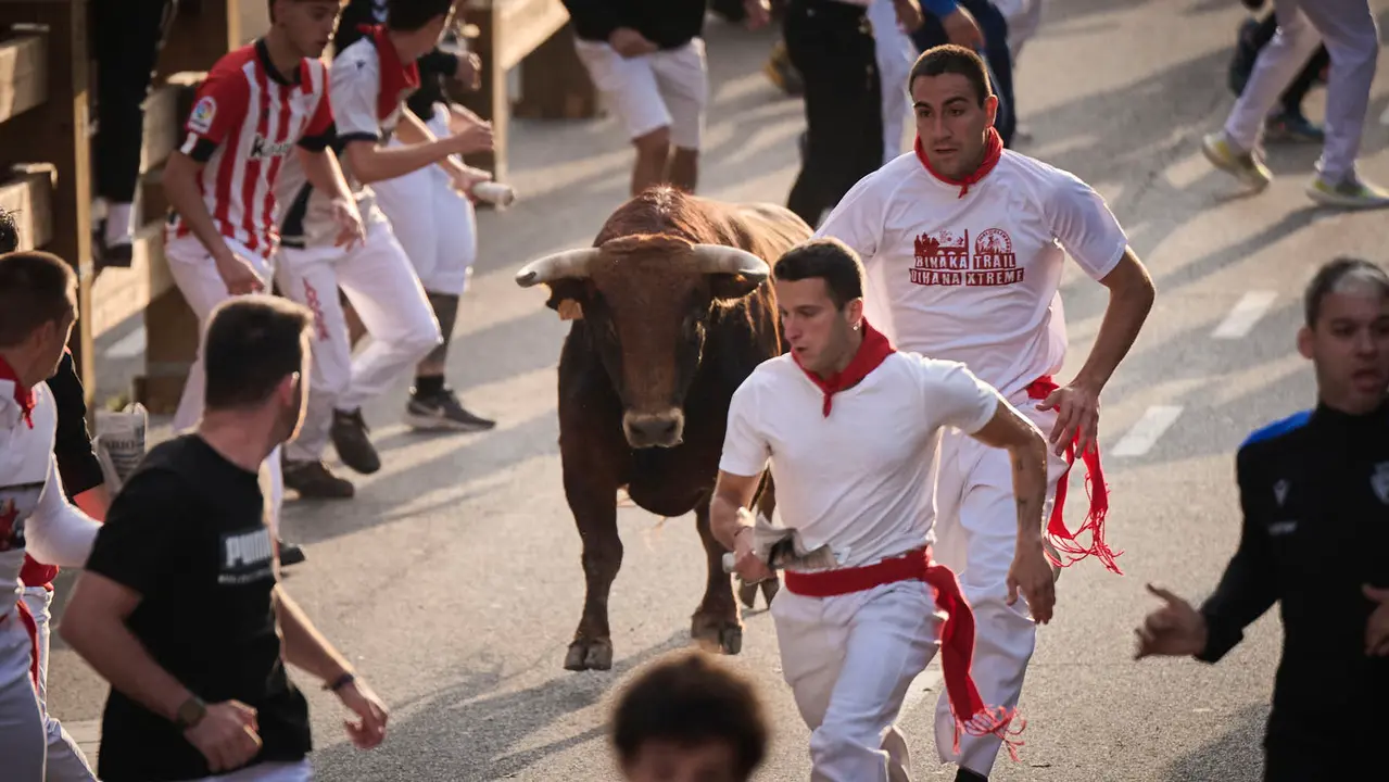 Primer encierro de las fiestas de Tudela 2025 con novillos de Tornay. PABLO LASAOSA
