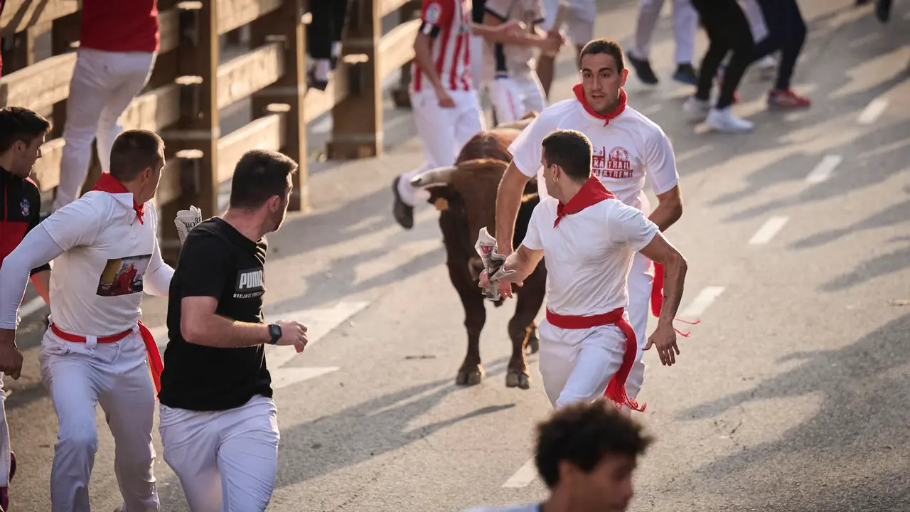 Primer encierro de las fiestas de Tudela 2025 con novillos de Tornay. PABLO LASAOSA
