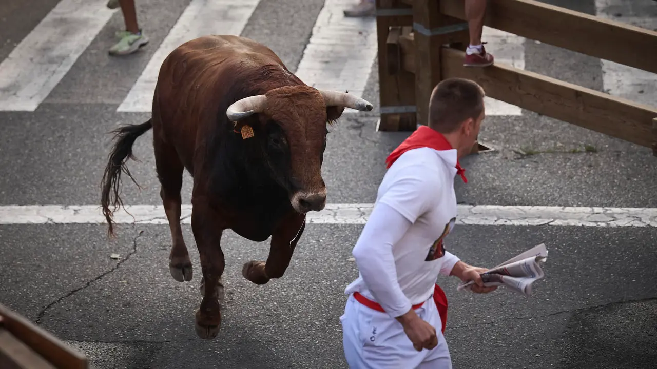 Primer encierro de las fiestas de Tudela 2025 con novillos de Tornay. PABLO LASAOSA
