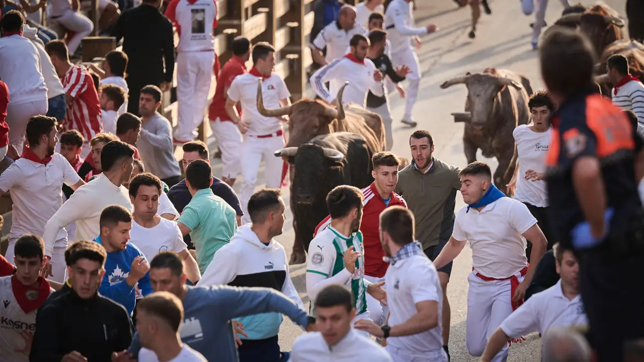 Primer encierro de las fiestas de Tudela 2025 con novillos de Tornay. PABLO LASAOSA