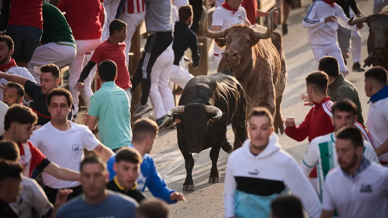Primer encierro de las fiestas de Tudela 2025 con novillos de Tornay. PABLO LASAOSA