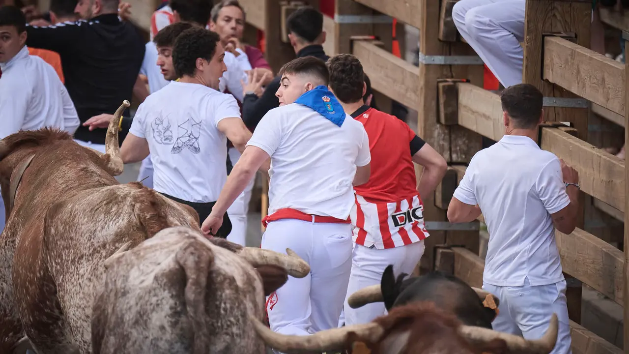 Primer encierro de las fiestas de Tudela 2025 con novillos de Tornay. PABLO LASAOSA