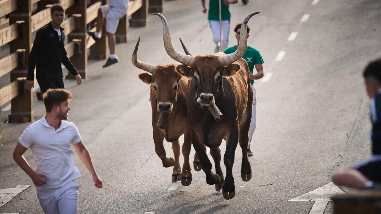 Primer encierro de las fiestas de Tudela 2025 con novillos de Tornay. PABLO LASAOSA