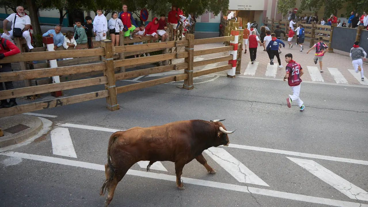Primer Encierro de Fiestas de Tudela 2025. IÑIGO ALZUGARAY