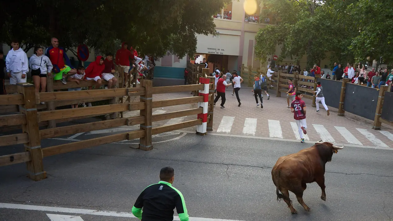 Primer Encierro de Fiestas de Tudela 2025. IÑIGO ALZUGARAY