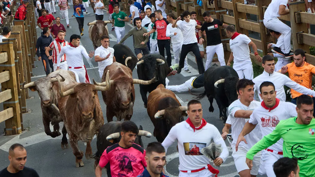 Primer Encierro de Fiestas de Tudela 2025. IÑIGO ALZUGARAY