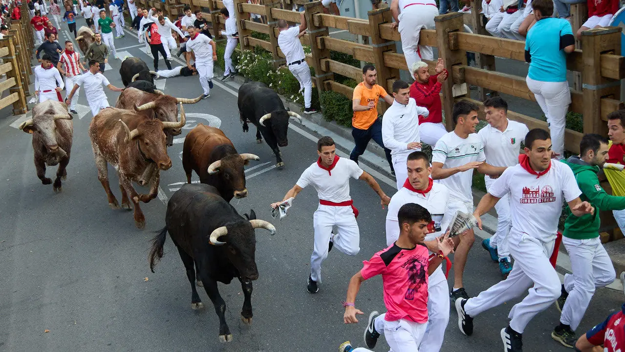 Primer Encierro de Fiestas de Tudela 2025. IÑIGO ALZUGARAY