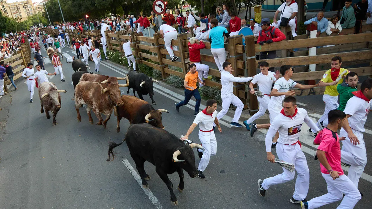 Primer Encierro de Fiestas de Tudela 2025. IÑIGO ALZUGARAY