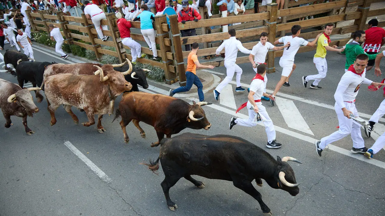 Primer Encierro de Fiestas de Tudela 2025. IÑIGO ALZUGARAY