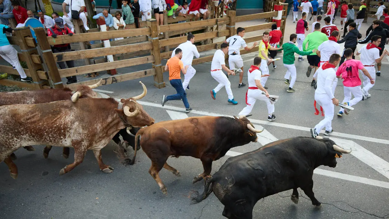 Primer Encierro de Fiestas de Tudela 2025. IÑIGO ALZUGARAY