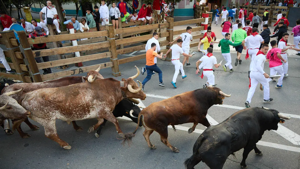 Primer Encierro de Fiestas de Tudela 2025. IÑIGO ALZUGARAY