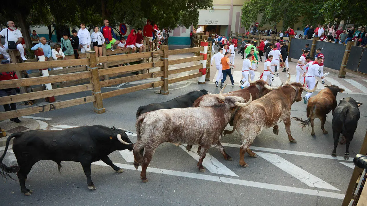 Primer Encierro de Fiestas de Tudela 2025. IÑIGO ALZUGARAY