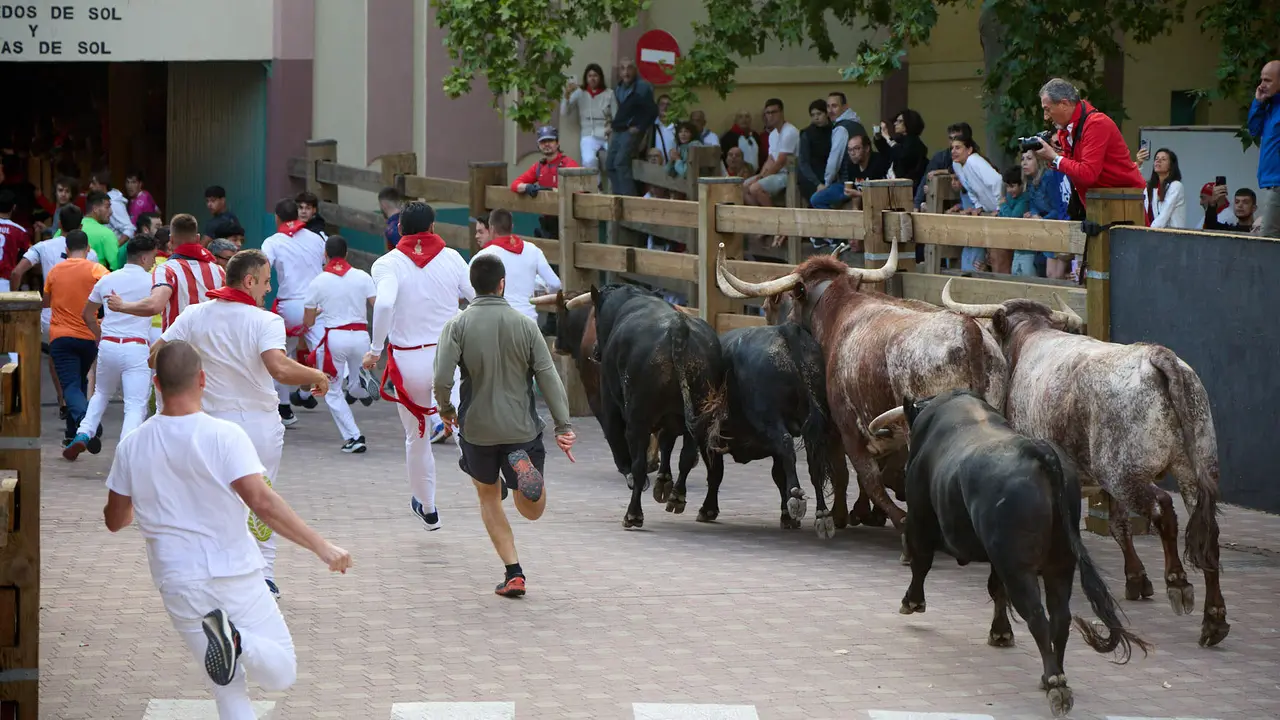 Primer Encierro de Fiestas de Tudela 2025. IÑIGO ALZUGARAY