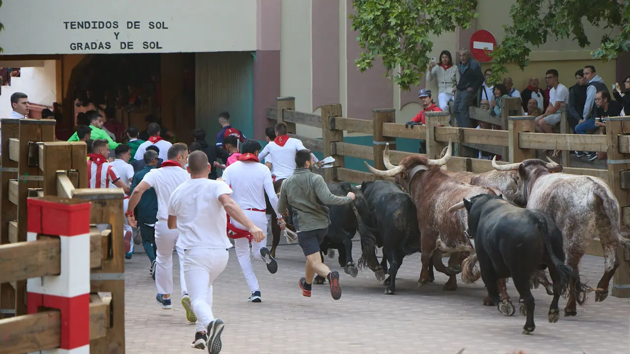 Primer Encierro de Fiestas de Tudela 2025. IÑIGO ALZUGARAY