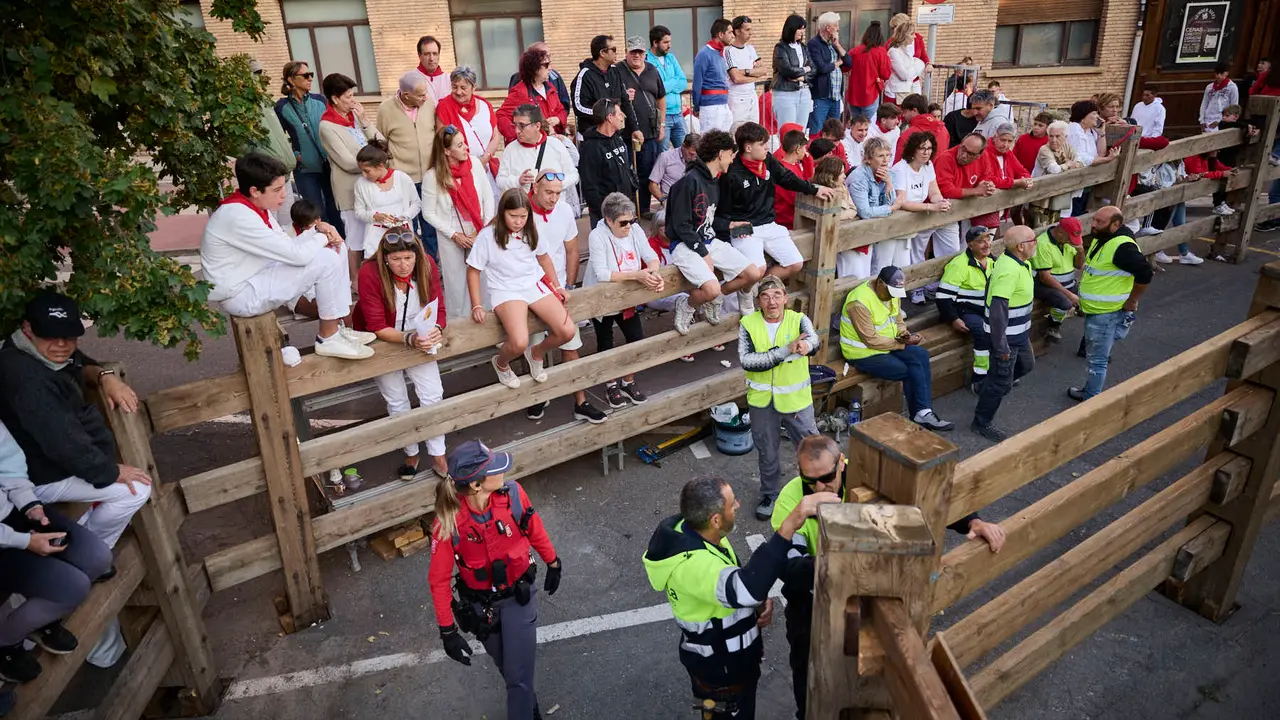 Segundo encierro de fiestas de Tudela 2025 con toros de la ganadería de Herederos de Gregorio Garzón Valdenebro (Jaén). PABLO LASAOSA