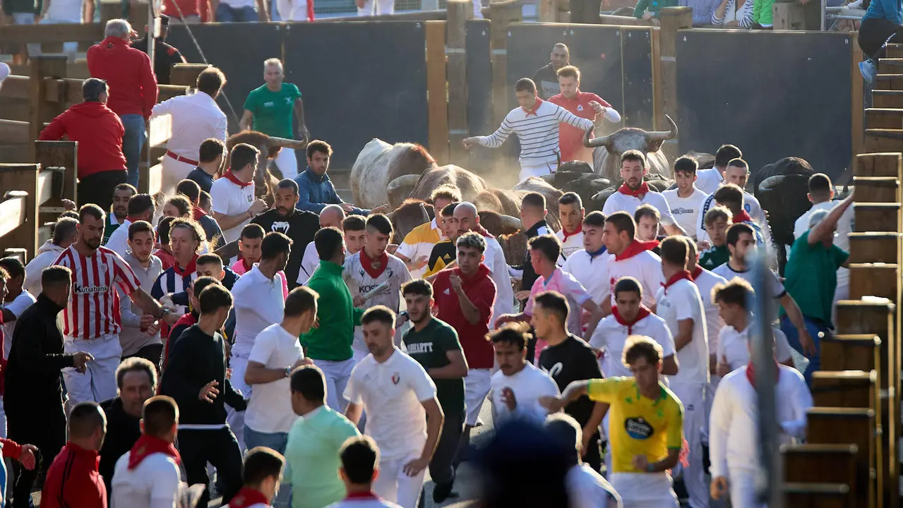 Segundo encierro de fiestas de Tudela 2025 con toros de la ganadería de Herederos de Gregorio Garzón Valdenebro (Jaén). IÑIGO ALZUGARAY