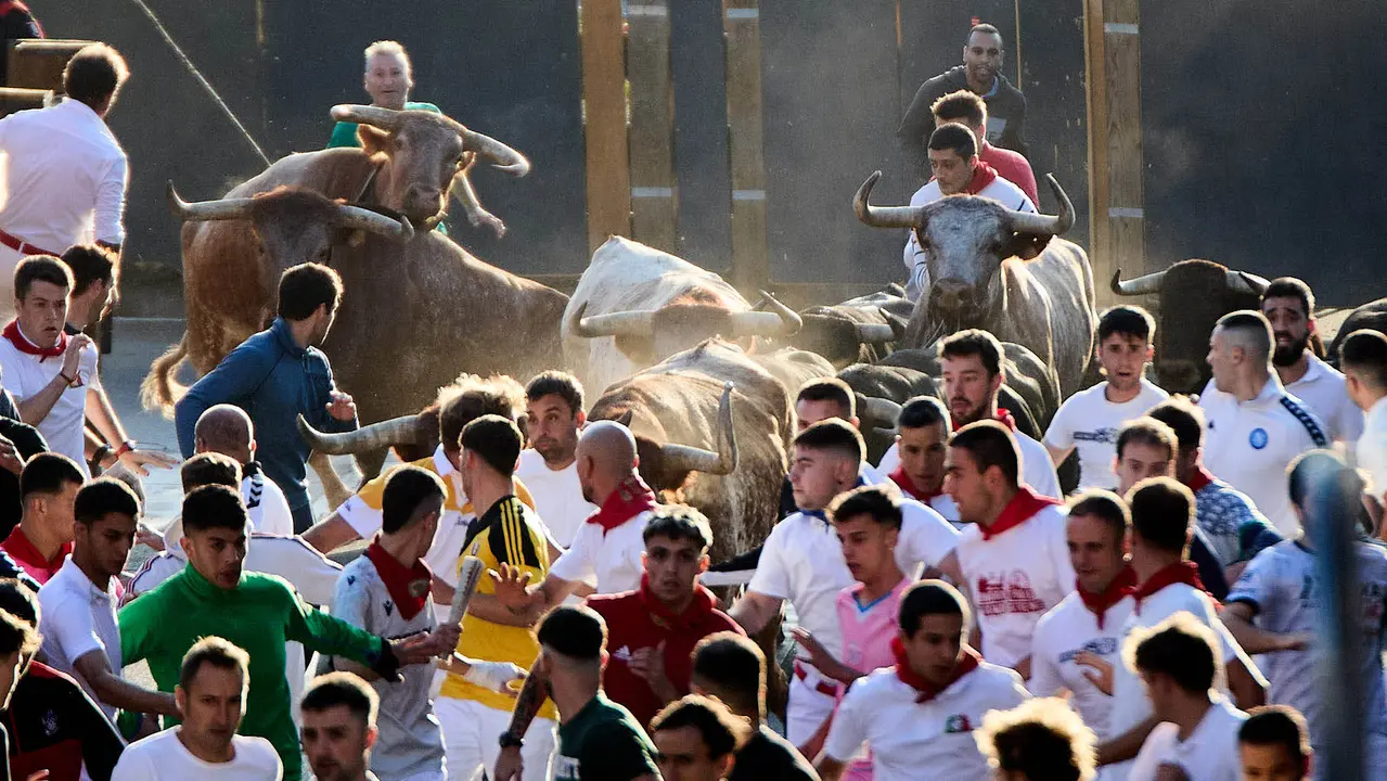 Segundo encierro de fiestas de Tudela 2025 con toros de la ganadería de Herederos de Gregorio Garzón Valdenebro (Jaén). IÑIGO ALZUGARAY