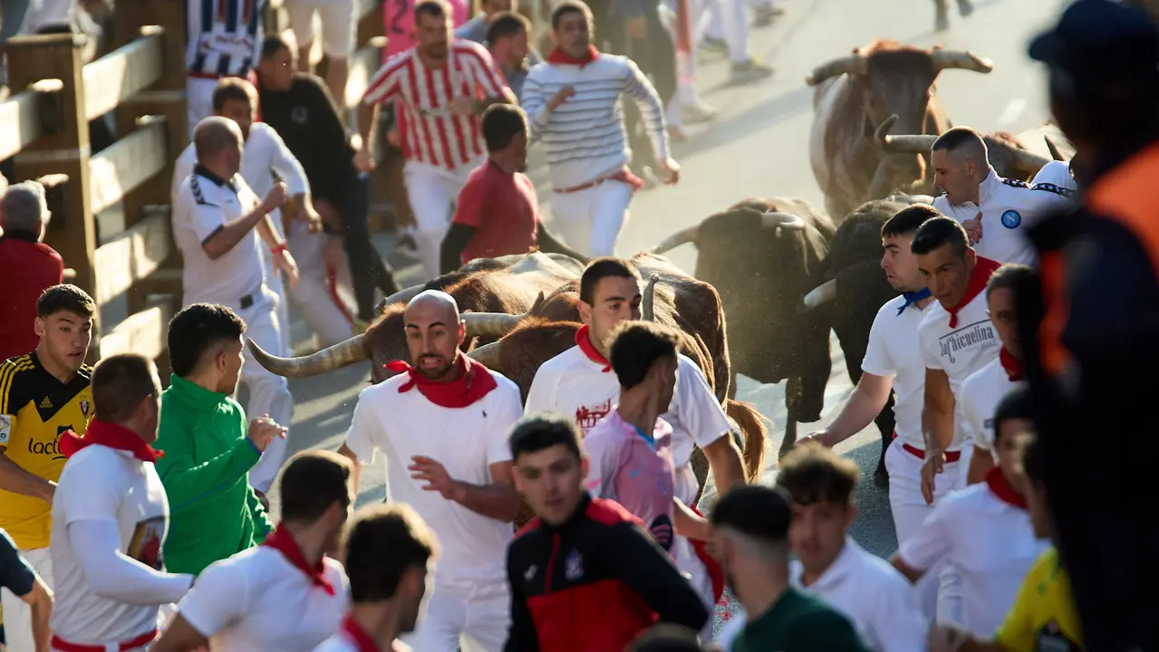 Segundo encierro de fiestas de Tudela 2025 con toros de la ganadería de Herederos de Gregorio Garzón Valdenebro (Jaén). IÑIGO ALZUGARAY