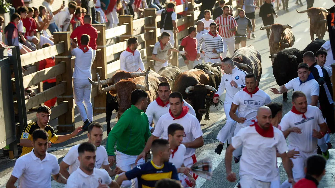 Segundo encierro de fiestas de Tudela 2025 con toros de la ganadería de Herederos de Gregorio Garzón Valdenebro (Jaén). IÑIGO ALZUGARAY