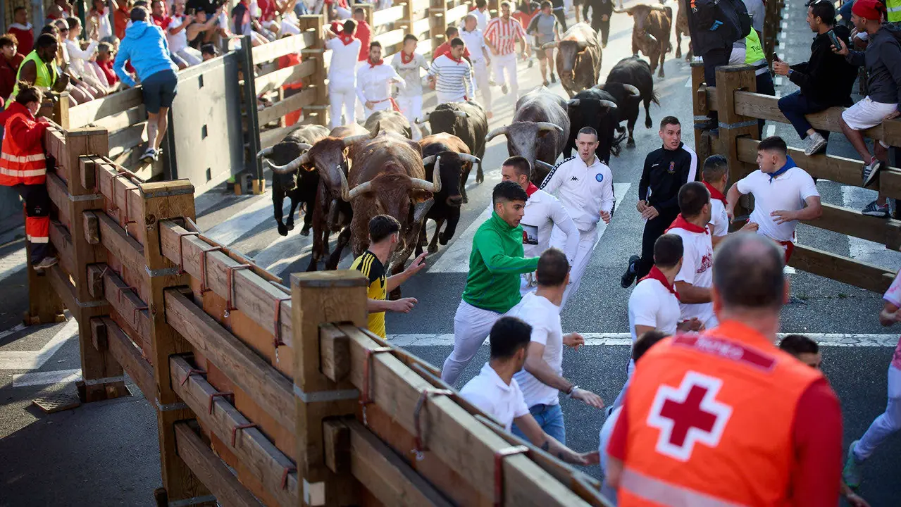 Segundo encierro de fiestas de Tudela 2025 con toros de la ganadería de Herederos de Gregorio Garzón Valdenebro (Jaén). IÑIGO ALZUGARAY