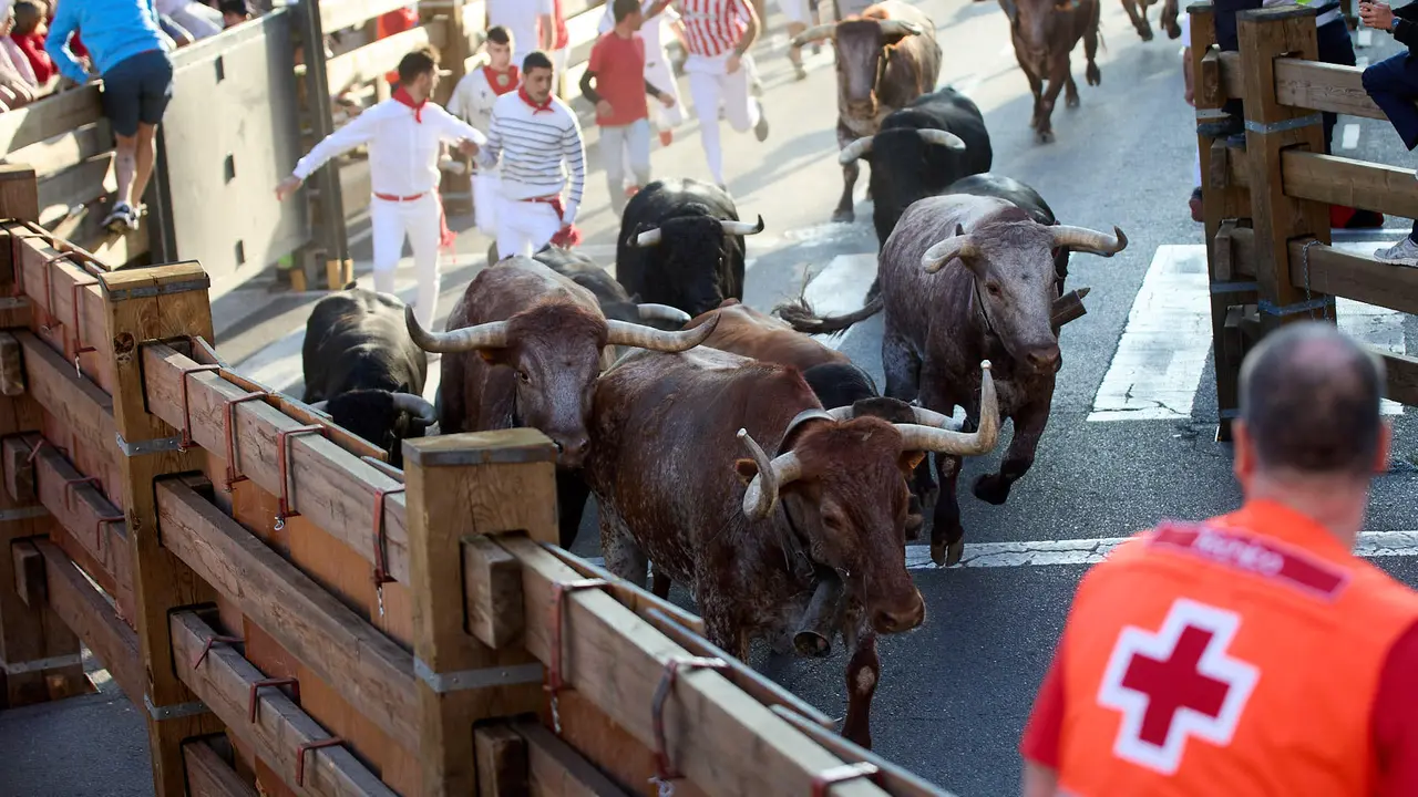 Segundo encierro de fiestas de Tudela 2025 con toros de la ganadería de Herederos de Gregorio Garzón Valdenebro (Jaén). IÑIGO ALZUGARAY