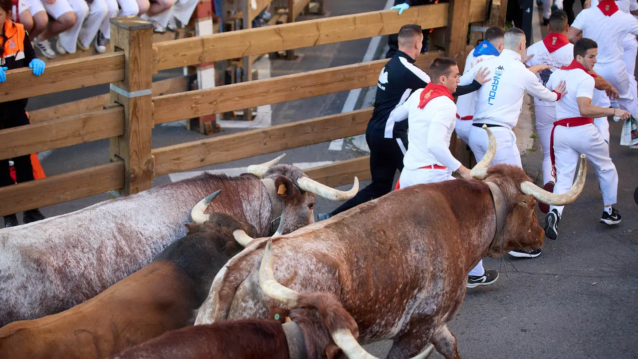 Segundo encierro de fiestas de Tudela 2025 con toros de la ganadería de Herederos de Gregorio Garzón Valdenebro (Jaén). IÑIGO ALZUGARAY