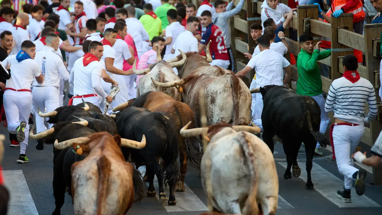 Segundo encierro de fiestas de Tudela 2025 con toros de la ganadería de Herederos de Gregorio Garzón Valdenebro (Jaén). IÑIGO ALZUGARAY