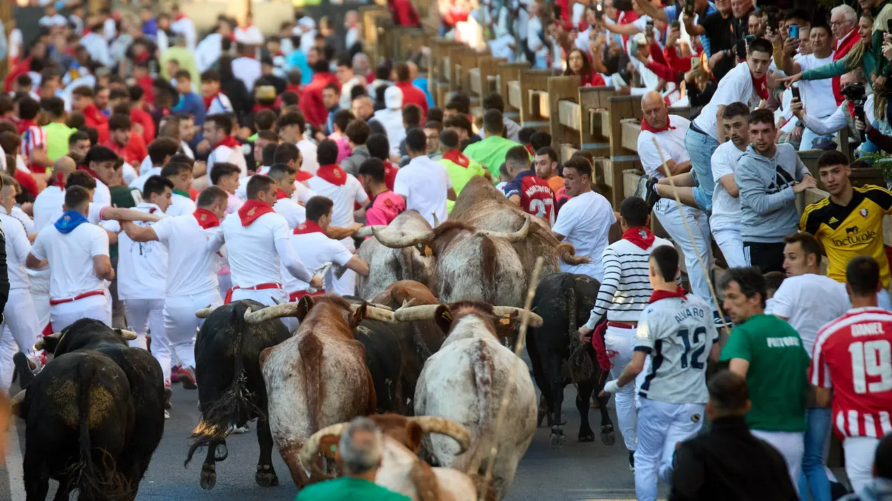 Segundo encierro de fiestas de Tudela 2025 con toros de la ganadería de Herederos de Gregorio Garzón Valdenebro (Jaén). IÑIGO ALZUGARAY
