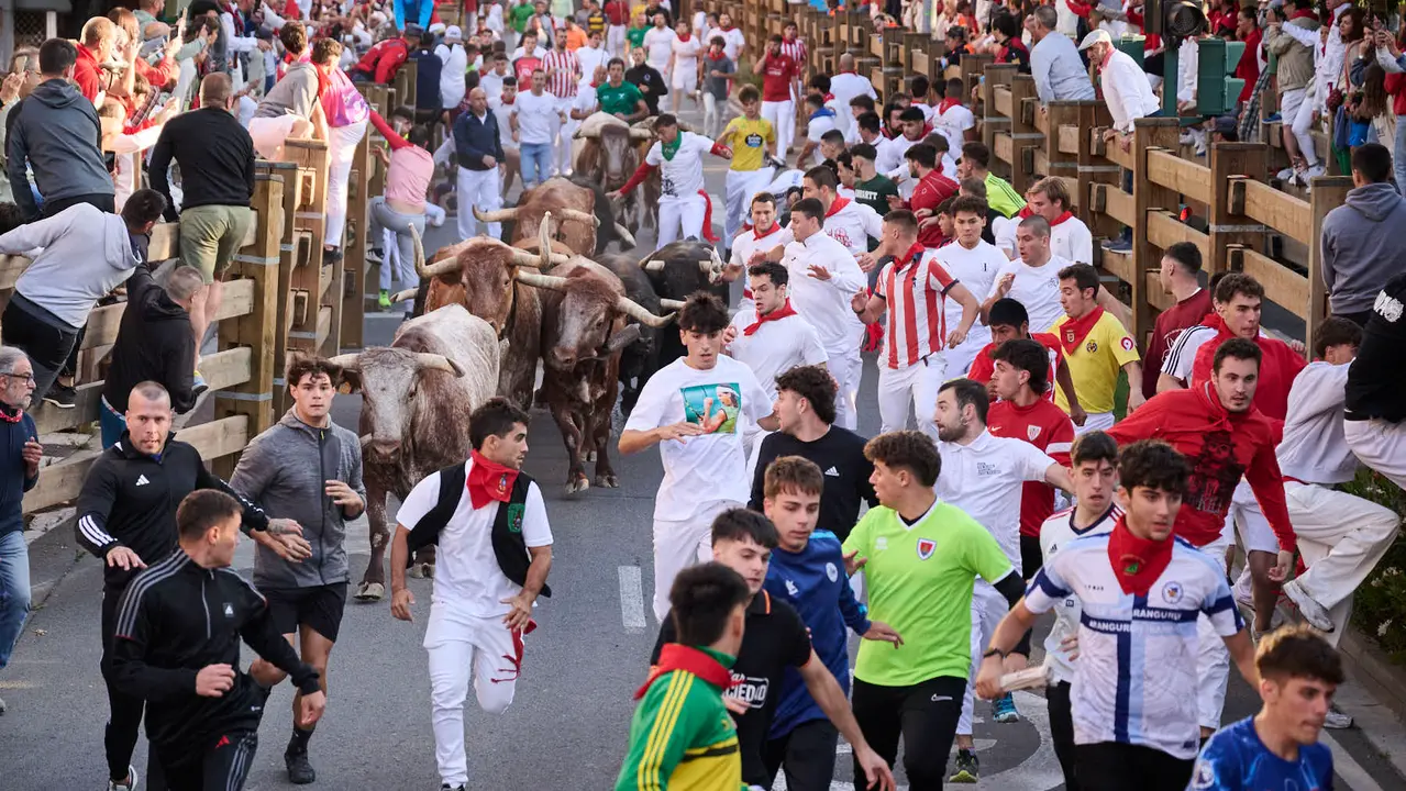 Segundo encierro de fiestas de Tudela 2025 con toros de la ganadería de Herederos de Gregorio Garzón Valdenebro (Jaén). PABLO LASAOSA