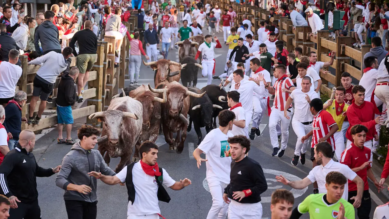 Segundo encierro de fiestas de Tudela 2025 con toros de la ganadería de Herederos de Gregorio Garzón Valdenebro (Jaén). PABLO LASAOSA