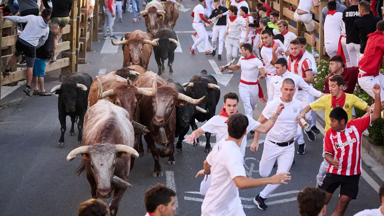 Segundo encierro de fiestas de Tudela 2025 con toros de la ganadería de Herederos de Gregorio Garzón Valdenebro (Jaén). PABLO LASAOSA