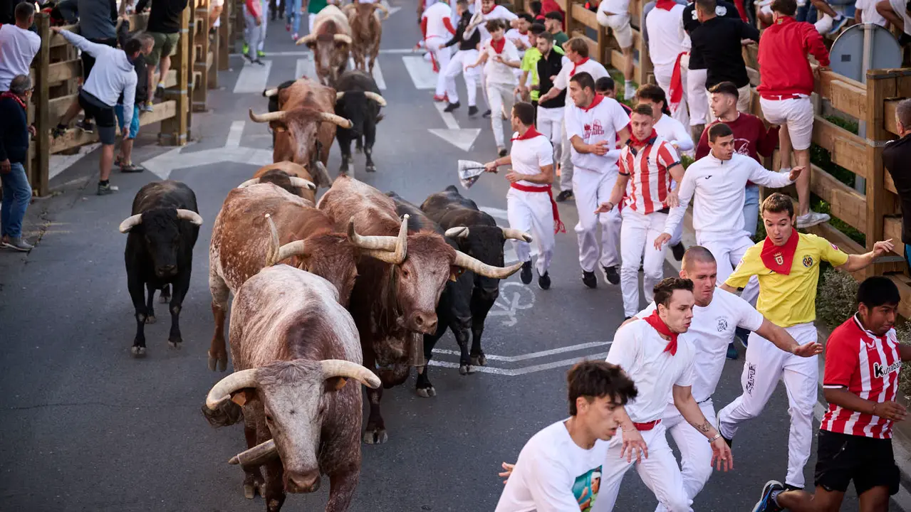 Segundo encierro de fiestas de Tudela 2025 con toros de la ganadería de Herederos de Gregorio Garzón Valdenebro (Jaén). PABLO LASAOSA